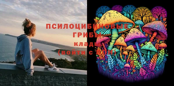 гашиш Каменногорск