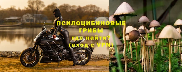 амфетамин Каменка